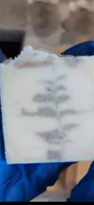 Cold Process Soap Bars