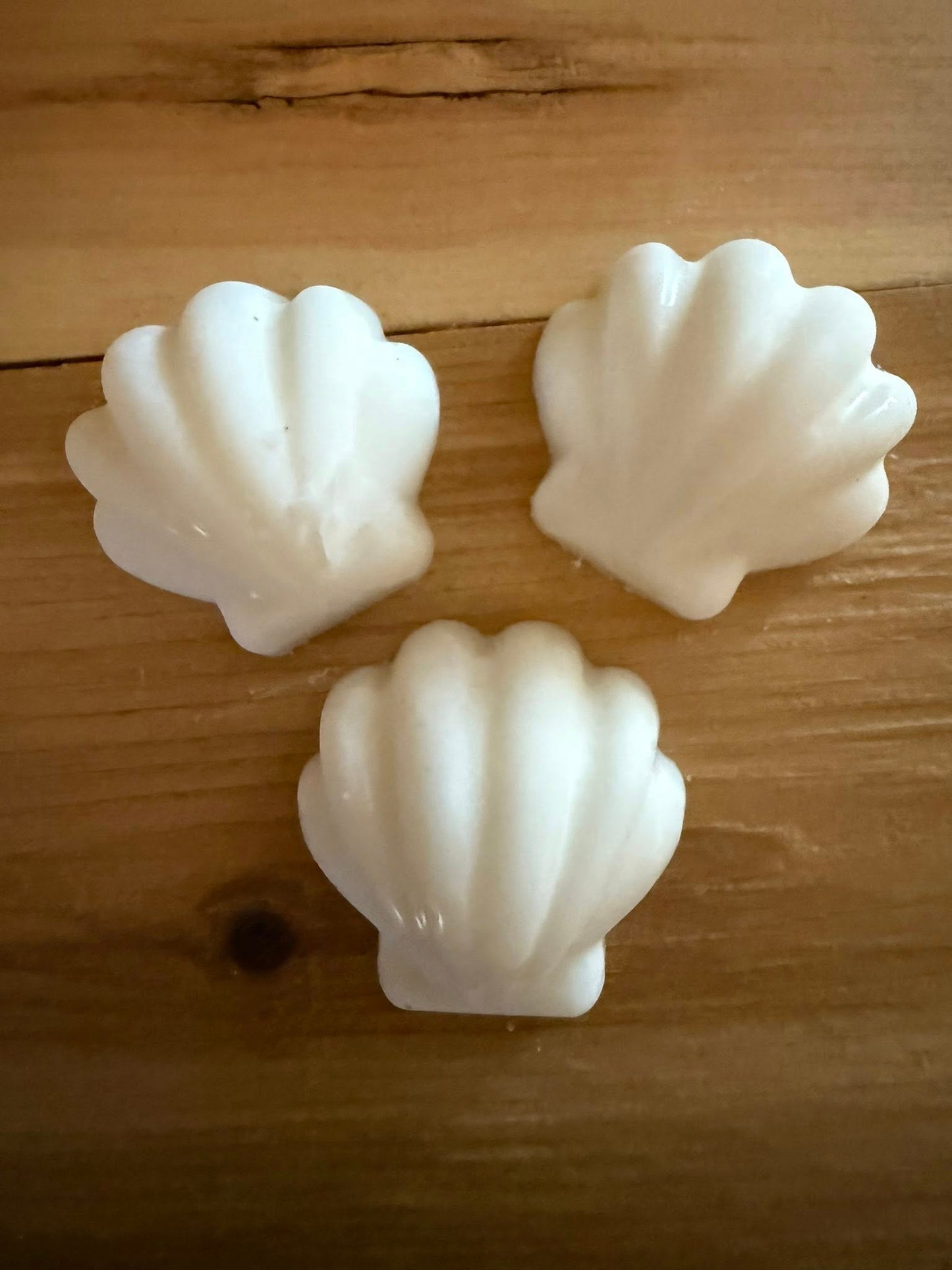 Sea Shell Wax Melts